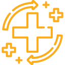 Recovery Manager Plus